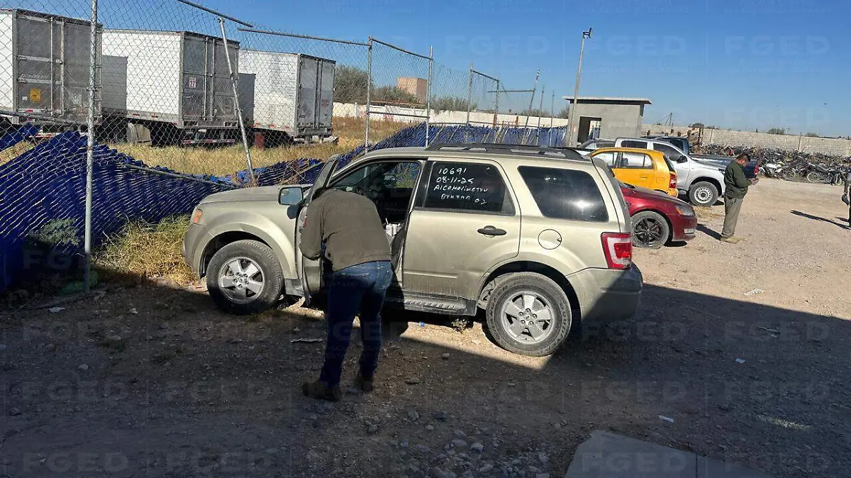 WhatsApp Image 2025-12-11 at 12.50.02 PM