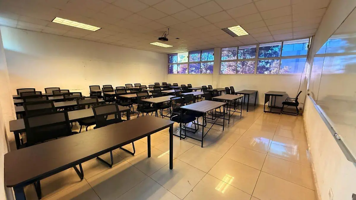 WhatsApp Image 2025-12-12 at 8.28.50 PM