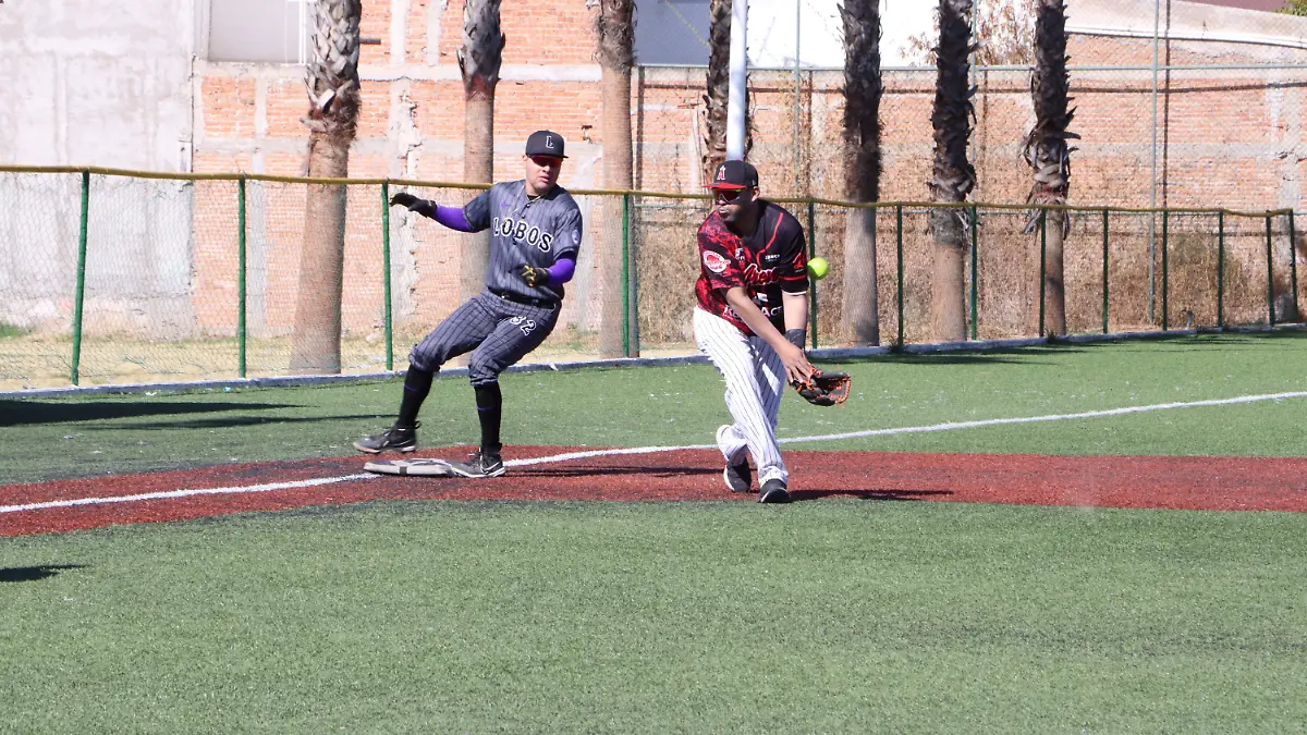 Liga Universitaria de Slow Pitch Lobos UAD