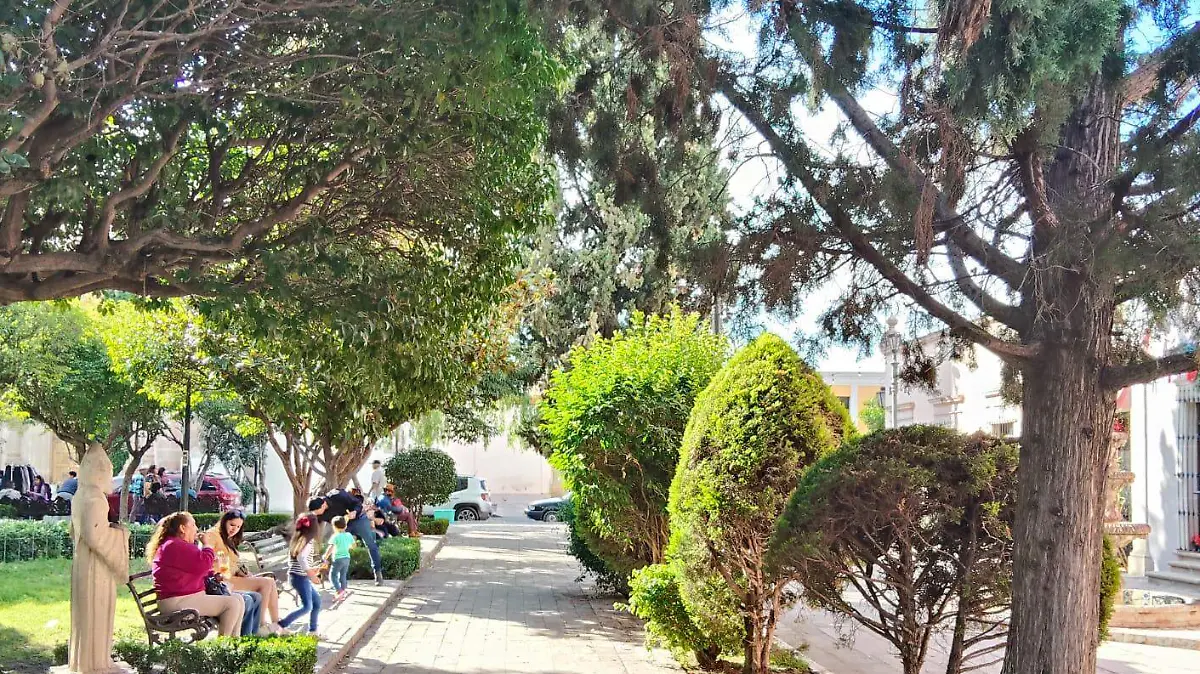 Generación Z desaira a su movimiento