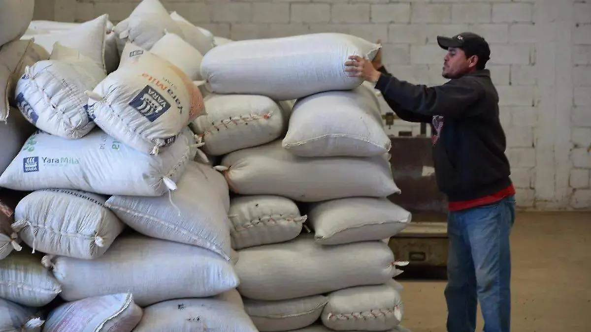 image - 2025-12-16T212743.893