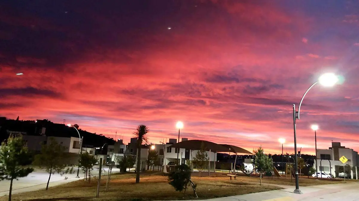 WhatsApp Image 2025-12-20 at 17.15.32