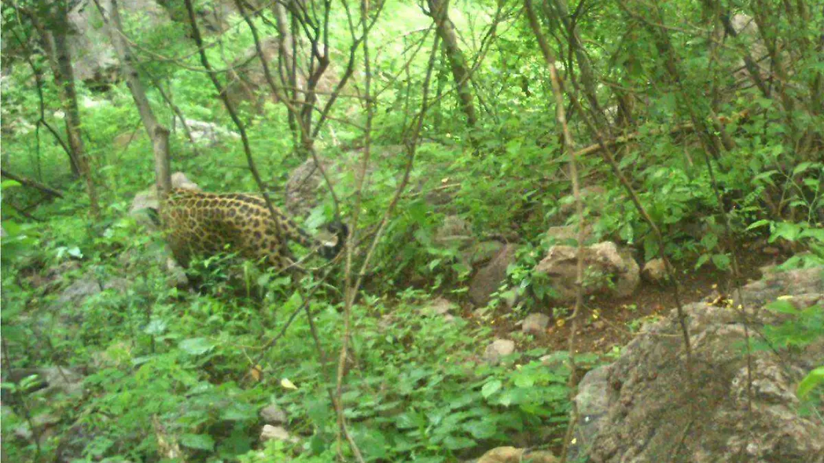 WhatsApp Image 2025-12-21 at 12.55.56