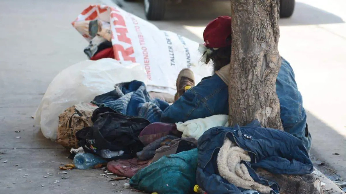 WhatsApp Image 2025-12-22 at 17.12.28 (1)