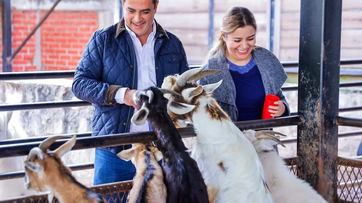 02 Comunicado Zoo 03