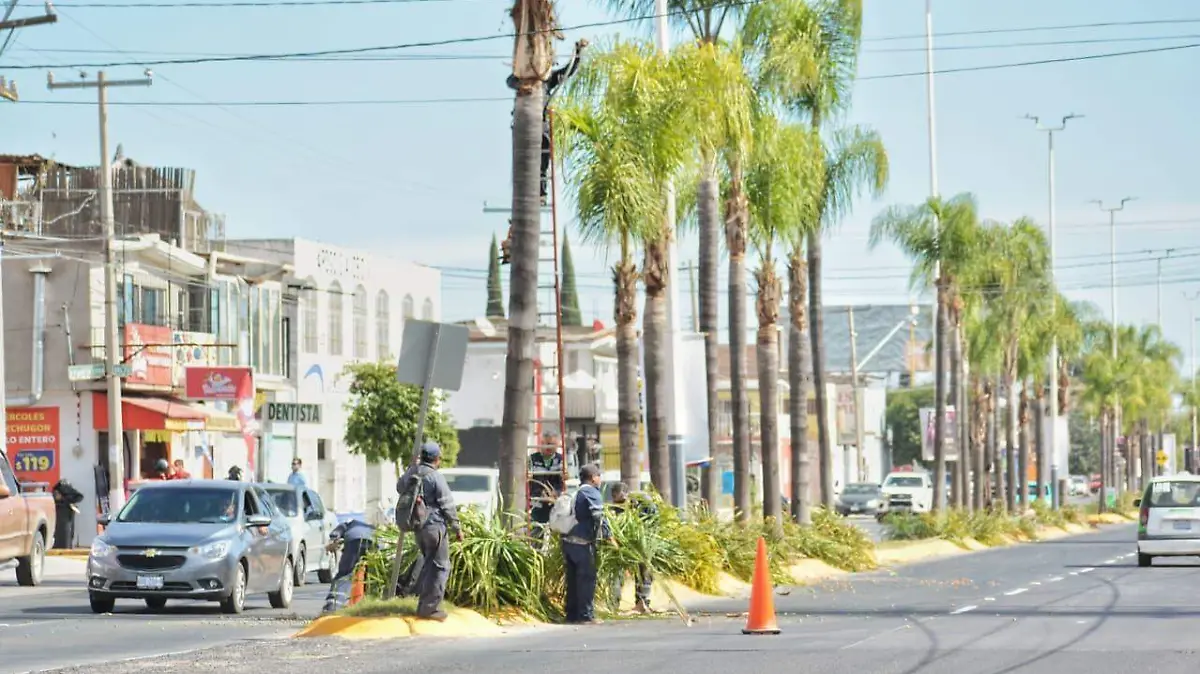 WhatsApp Image 2025-12-25 at 12.02.00 PM