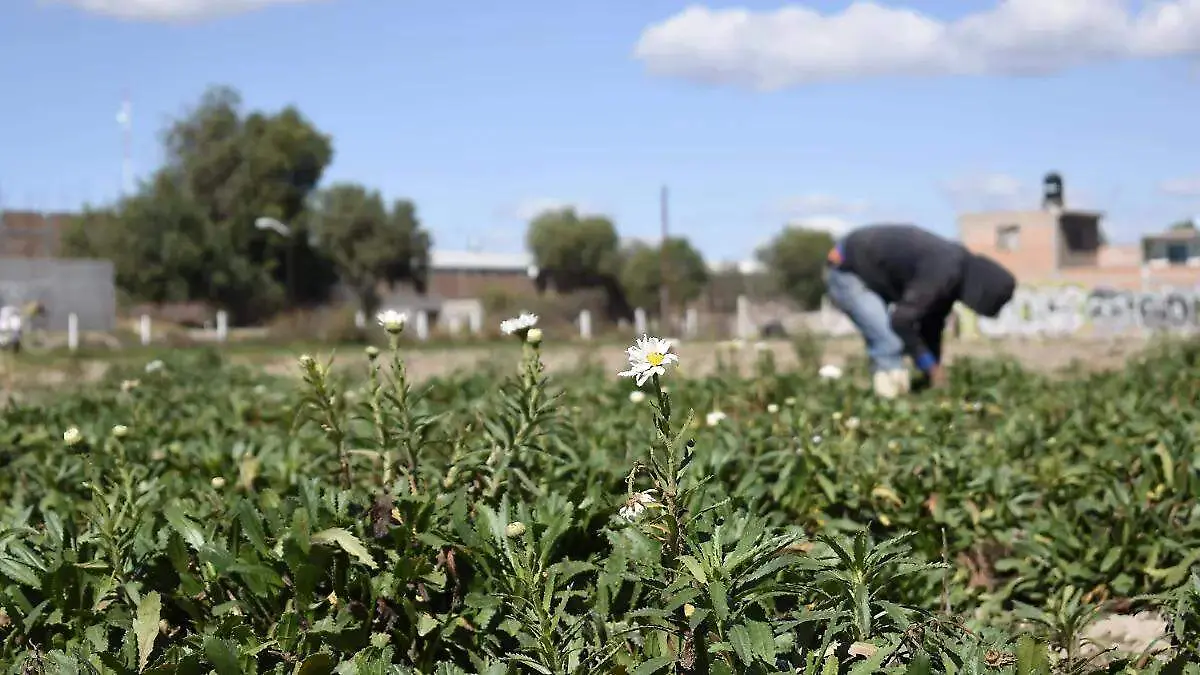 image - 2025-12-25T204422.867