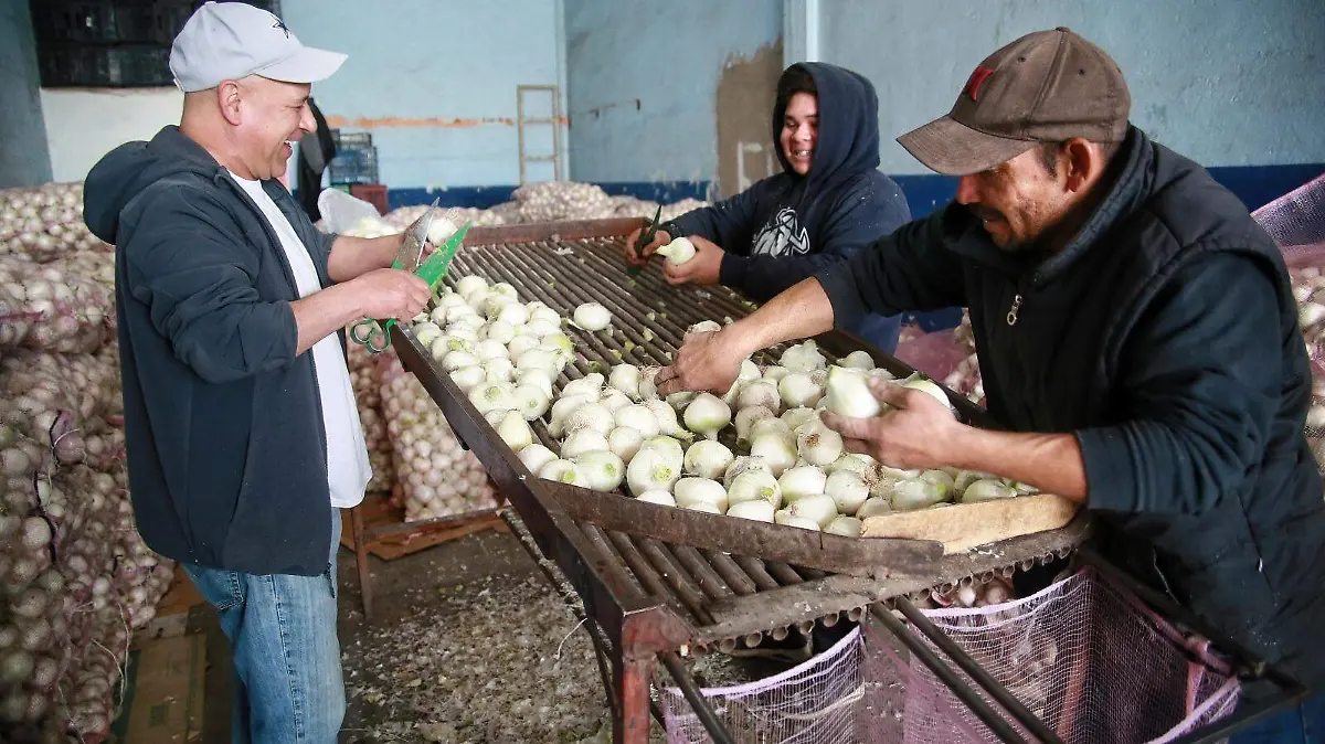 WhatsApp Image 2025-12-26 at 12.04.44 PM