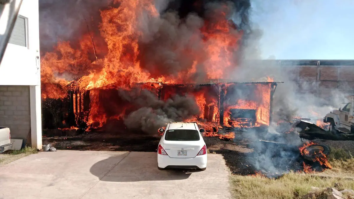 WhatsApp Image 2025-12-26 at 4.36.11 PM (1)