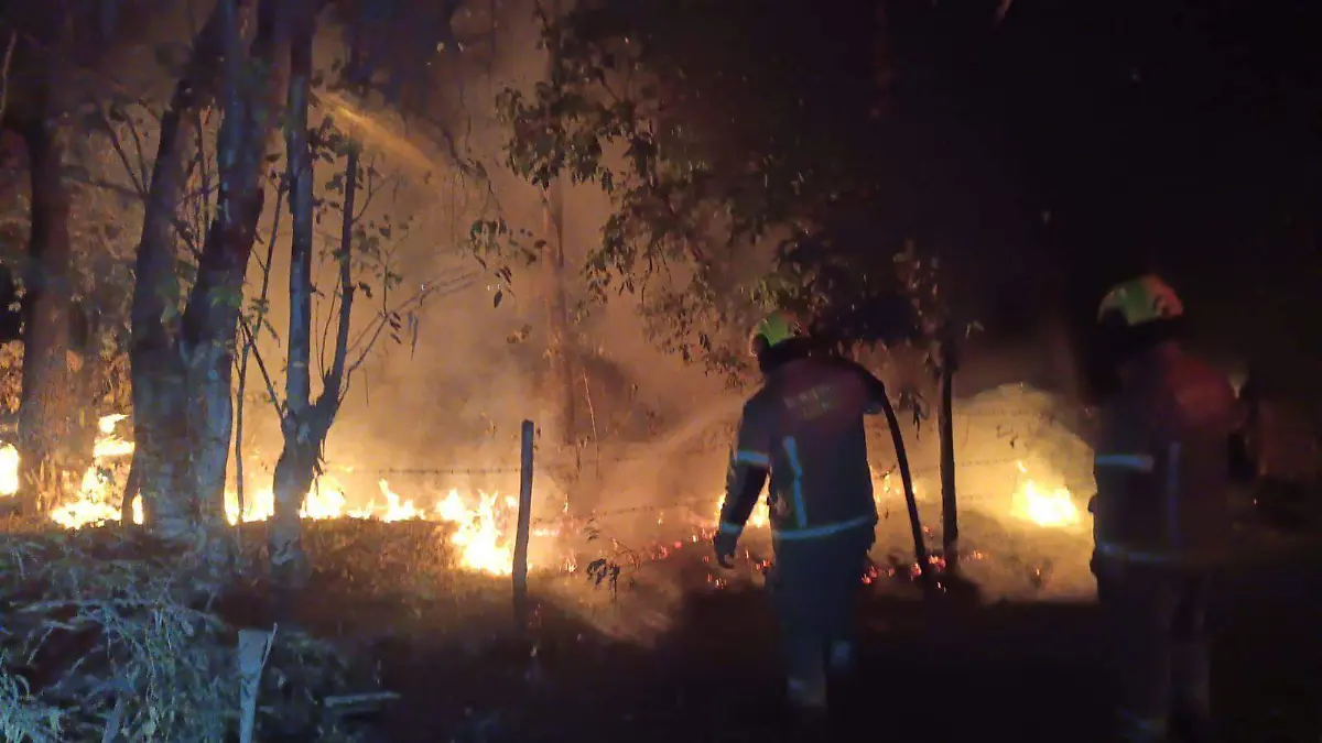 WhatsApp Image 2025-12-26 at 2.28.02 PM