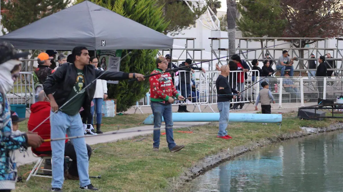 WhatsApp Image 2025-12-29 at 18.55.39 (1)