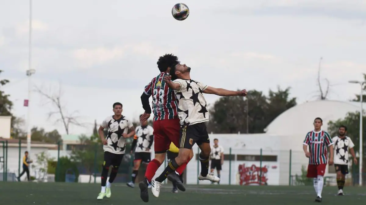 WhatsApp Image 2025-12-29 at 19.25.07