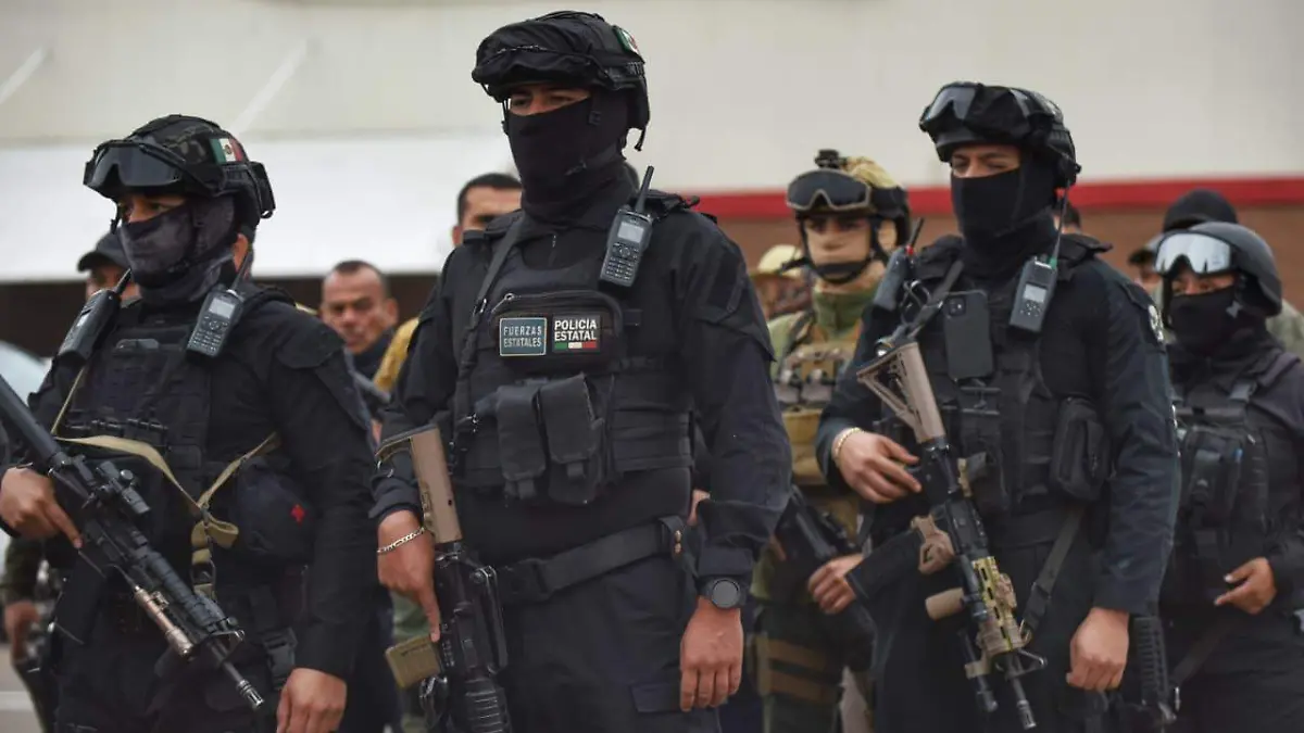 Elementos de Seguridad Pública / Policías Estatales de Durango