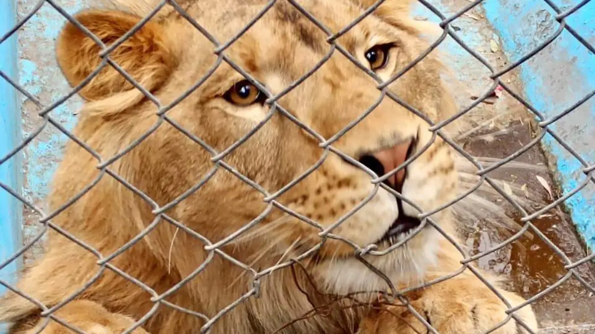 WhatsApp Image 2025-12-30 at 15.32.07