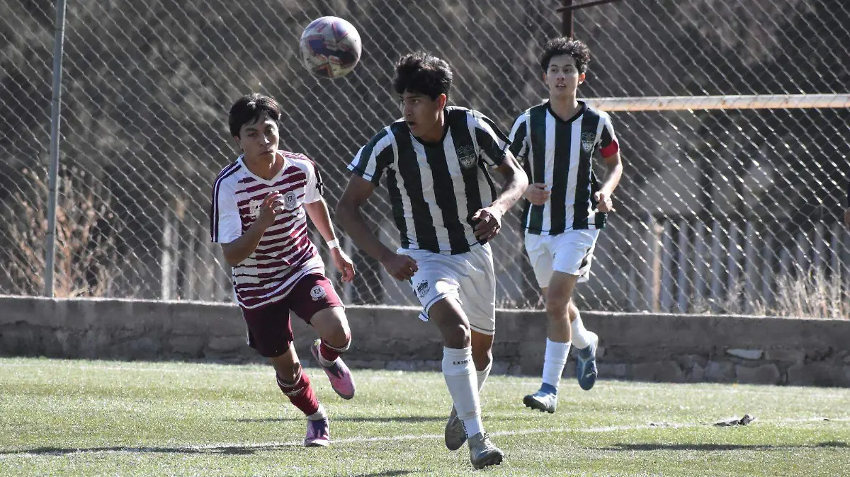 WhatsApp Image 2025-12-30 at 19.51.17 (1)