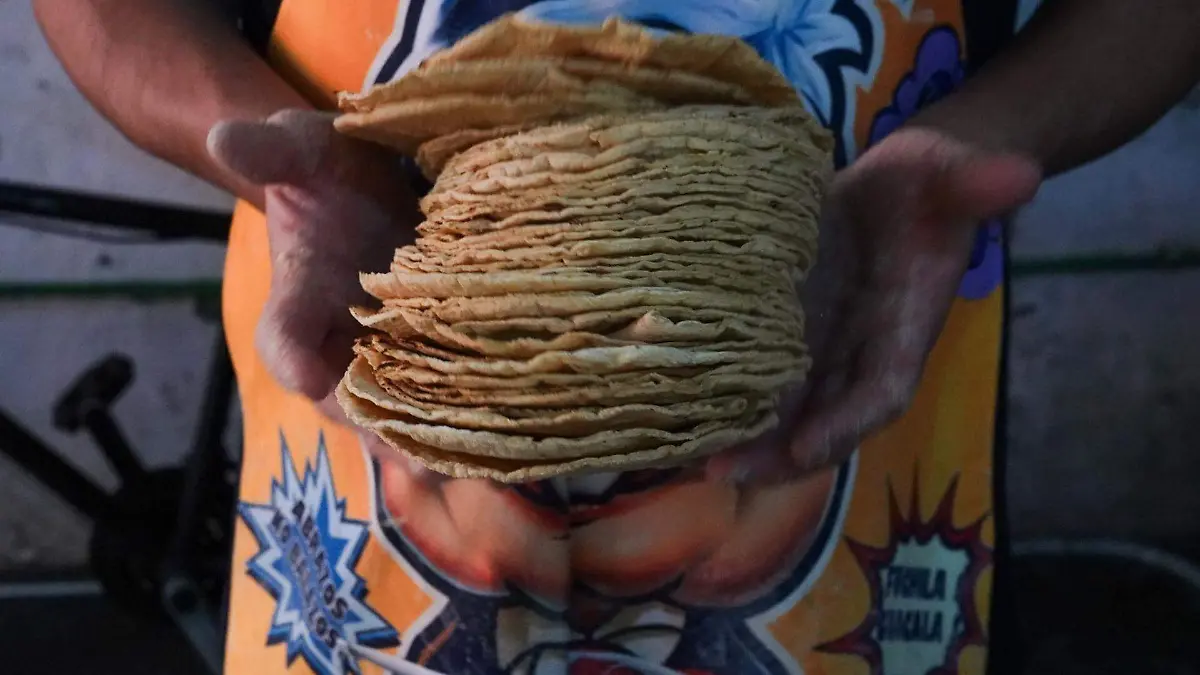 kilos de tortillas 