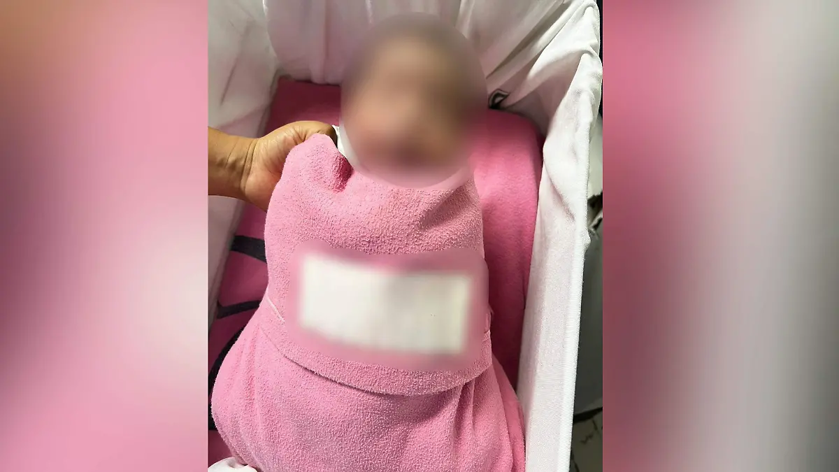 WhatsApp Image 2026-01-01 at 10.31.33 AM