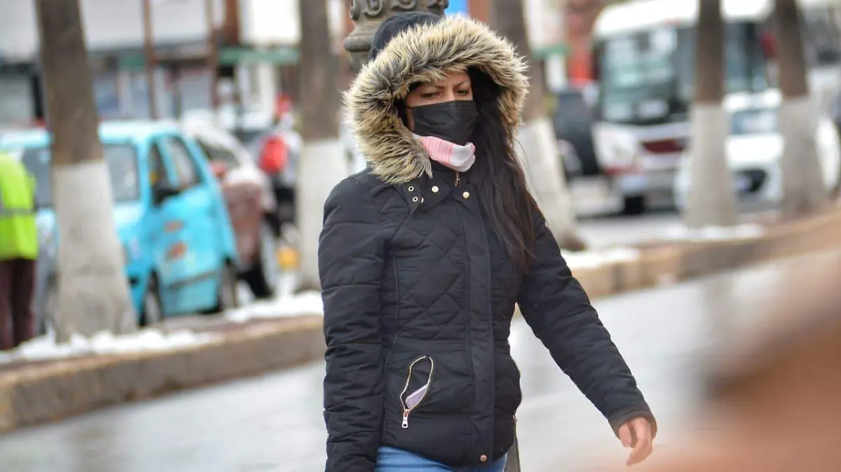 WhatsApp Image 2026-01-01 at 9.22.48 PM