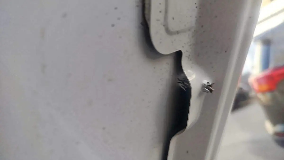 WhatsApp Image 2026-01-02 at 1.01.08 PM