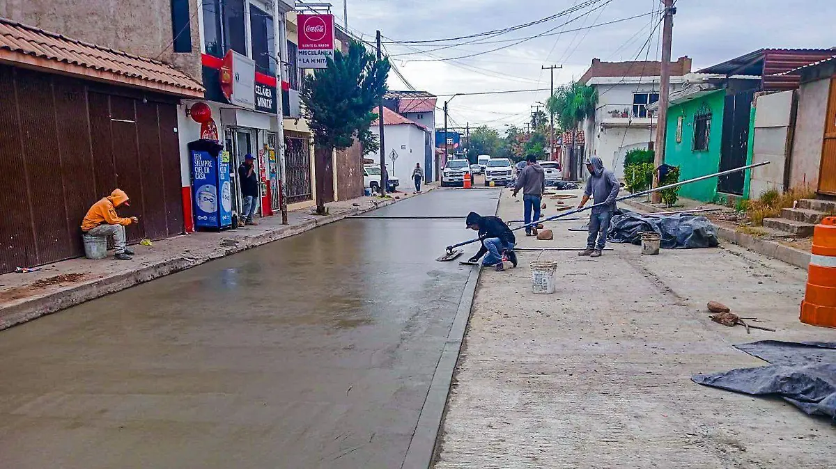 WhatsApp Image 2026-01-03 at 3.36.56 PM