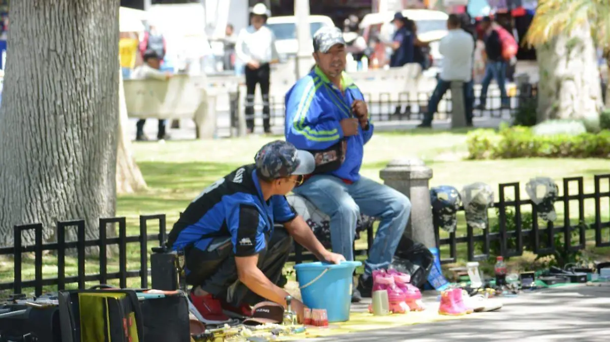 WhatsApp Image 2026-01-03 at 12.59.56 (1)