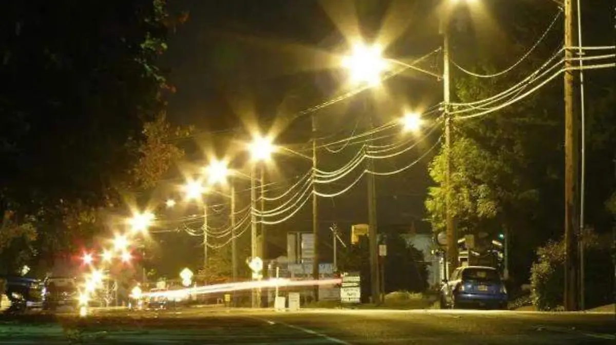 WhatsApp Image 2026-01-03 at 18.58.31