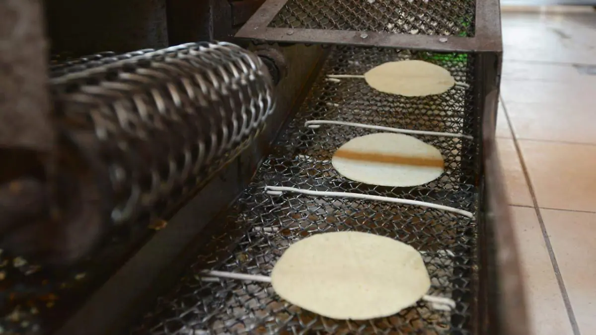 WhatsApp Image 2026-01-03 at 14.34.20 (1)