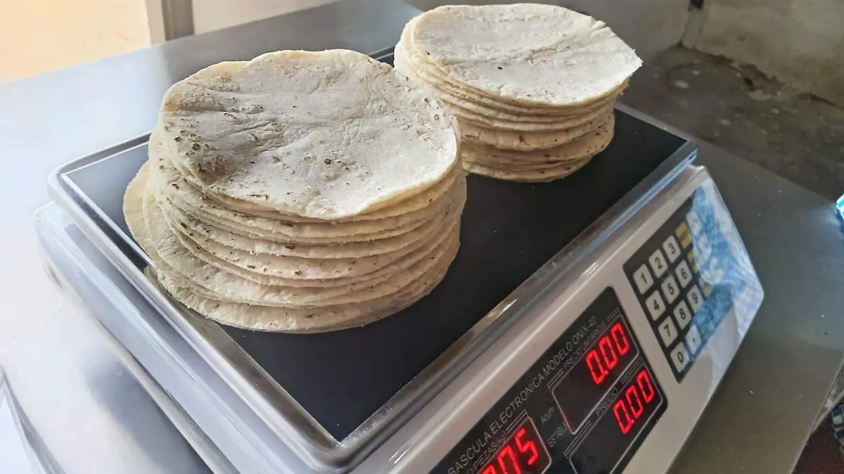 WhatsApp Image 2026-01-03 at 14.34.20