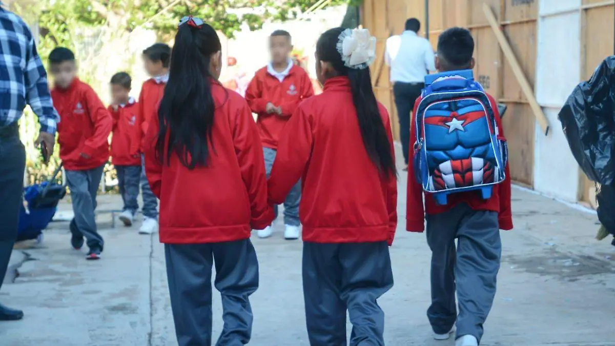 WhatsApp Image 2026-01-04 at 15.52.02