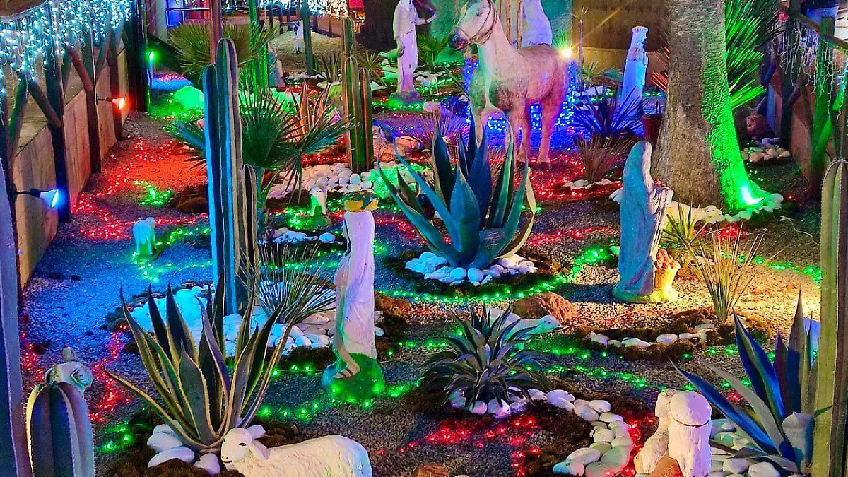 Feria navideña / nacimiento