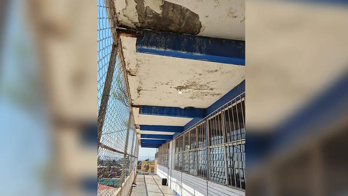 WhatsApp Image 2026-01-05 at 4.35.05 PM