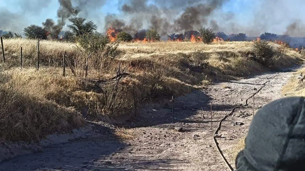 WhatsApp Image 2026-01-05 at 19.00.31