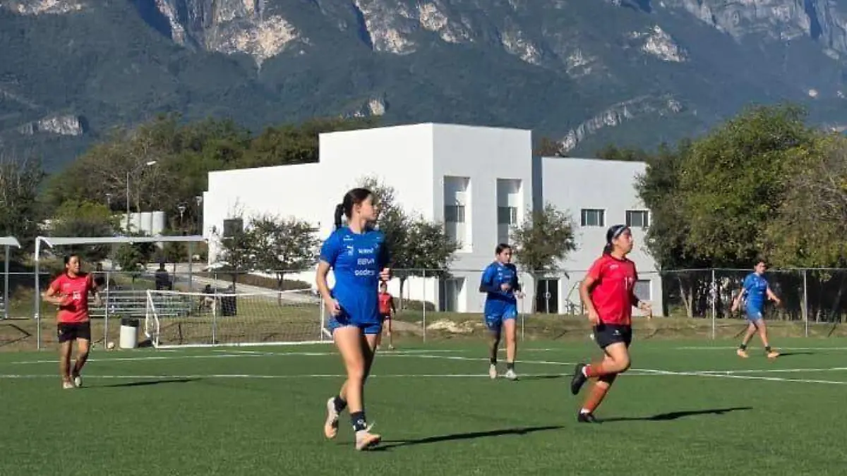 WhatsApp Image 2026-01-05 at 19.43.50