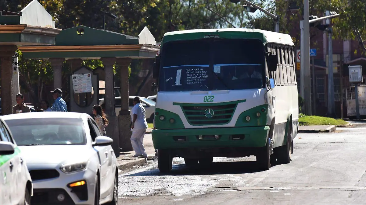 WhatsApp Image 2026-01-05 at 16.41.11 (1)