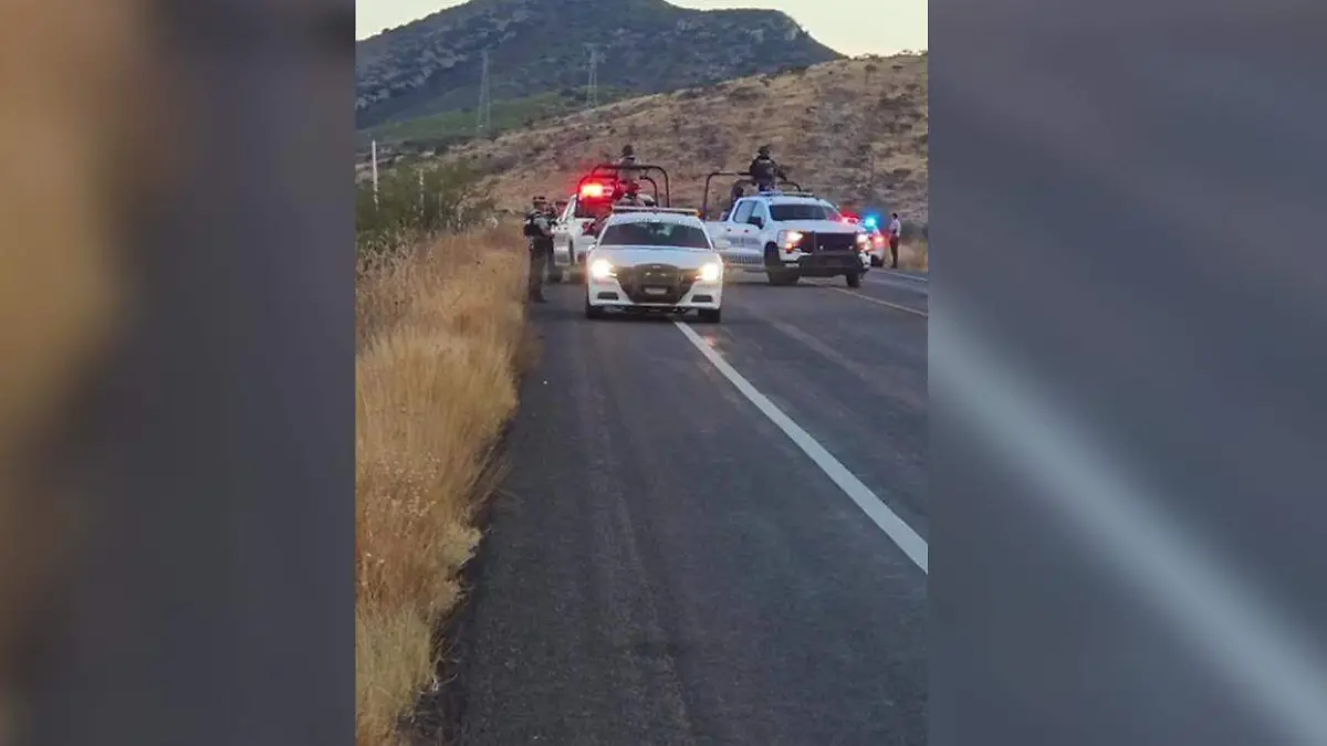 WhatsApp Image 2026-01-06 at 8.33.13 PM