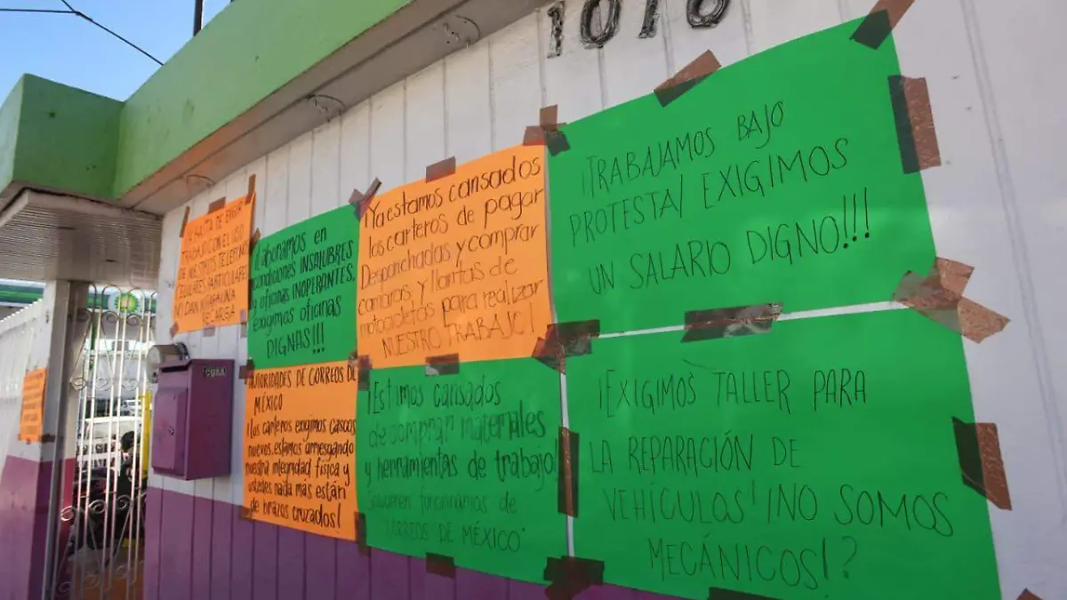 WhatsApp Image 2026-01-07 at 3.03.46 PM