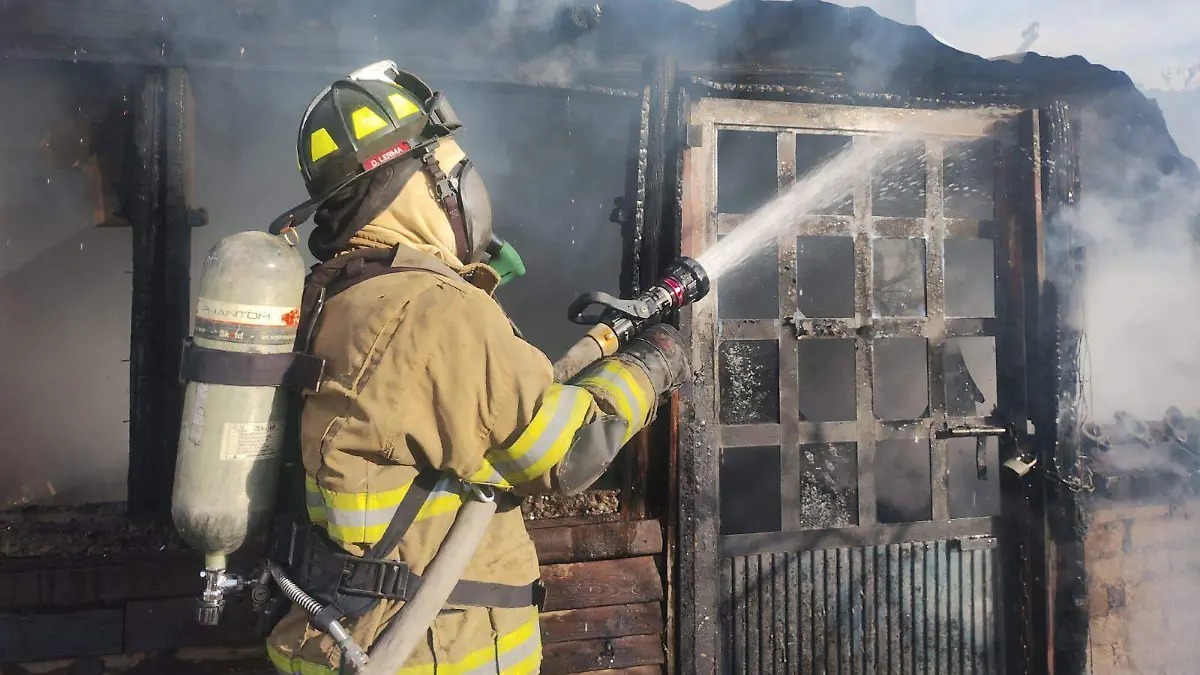 WhatsApp Image 2026-01-08 at 11.12.01 AM