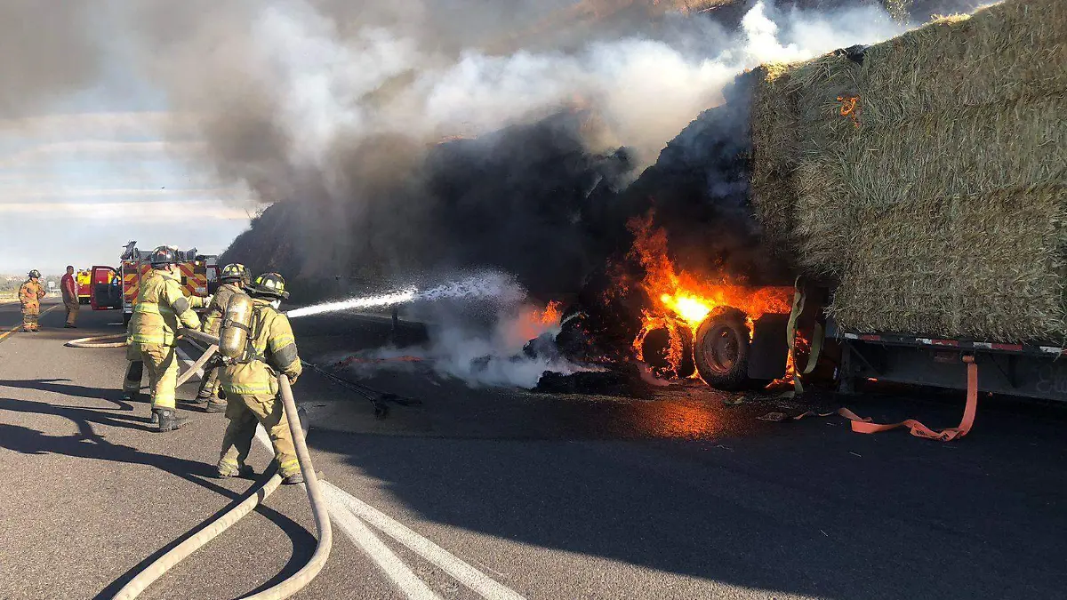 WhatsApp Image 2026-01-08 at 18.42.57