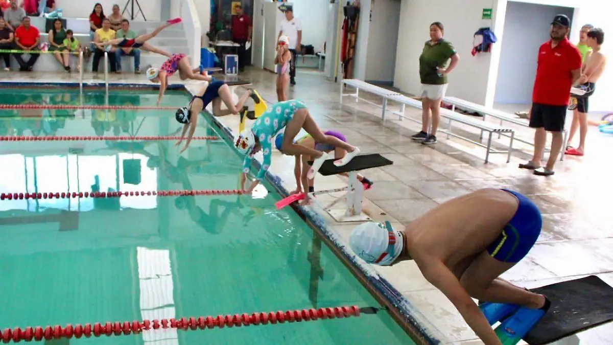 WhatsApp Image 2026-01-08 at 18.24.20