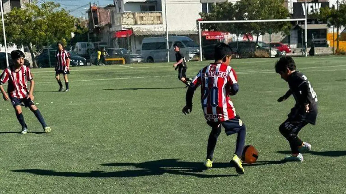 WhatsApp Image 2026-01-10 at 21.19.20