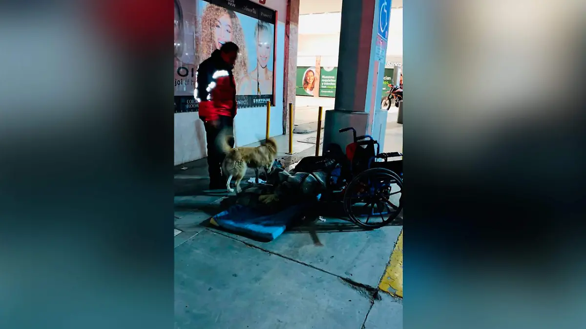 WhatsApp Image 2026-01-11 at 12.22.22 PM