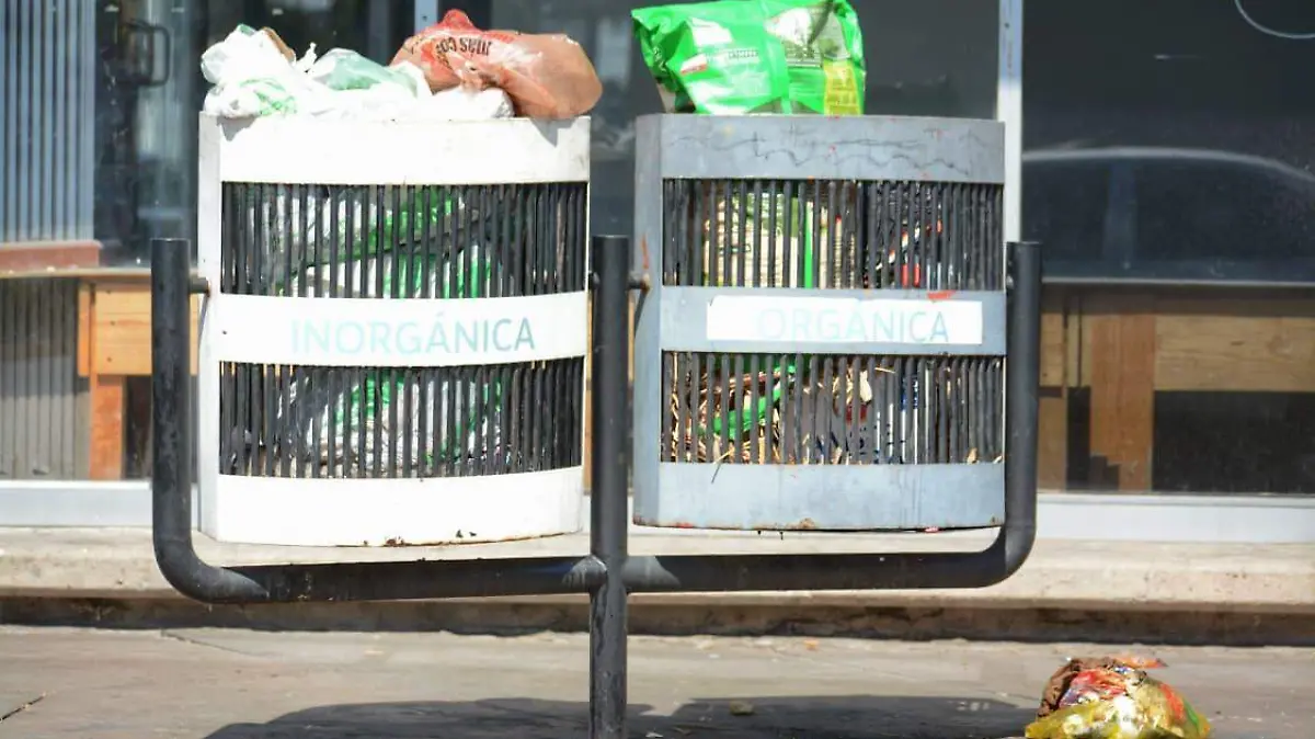 WhatsApp Image 2026-01-11 at 1.36.15 PM