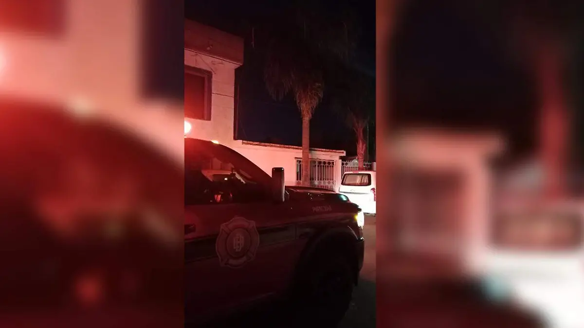 WhatsApp Image 2026-01-12 at 10.14.18 AM