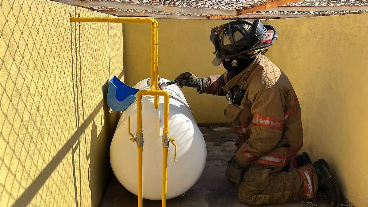 WhatsApp Image 2026-01-12 at 12.47.31 PM (1)