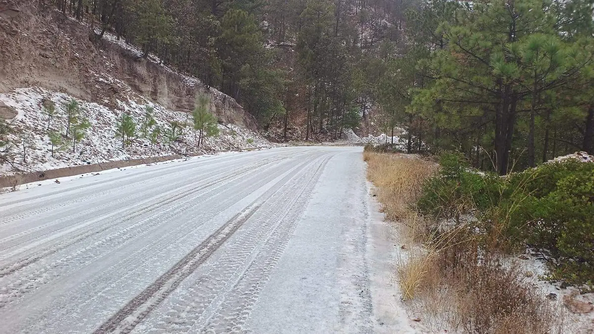 615242926_1418972216279346_7692148659853452835_n