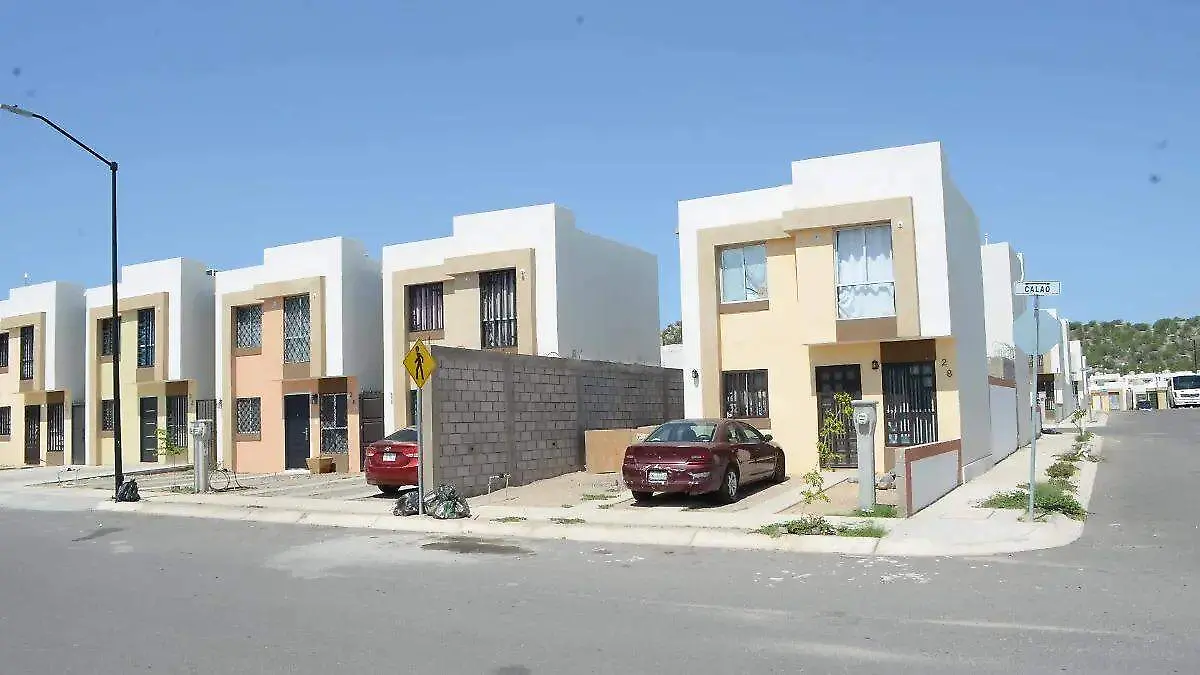 image - 2026-01-12T210301.961