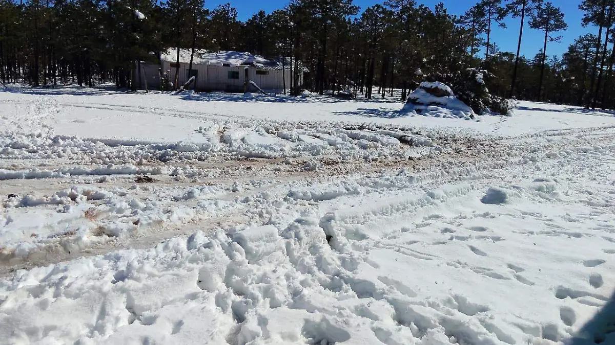 WhatsApp Image 2026-01-13 at 11.37.34 AM (1)