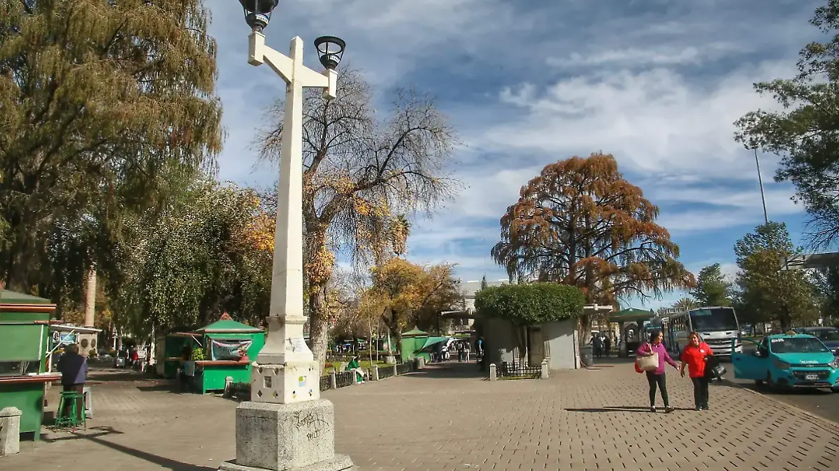 Captura de pantalla 2026-01-13 141358