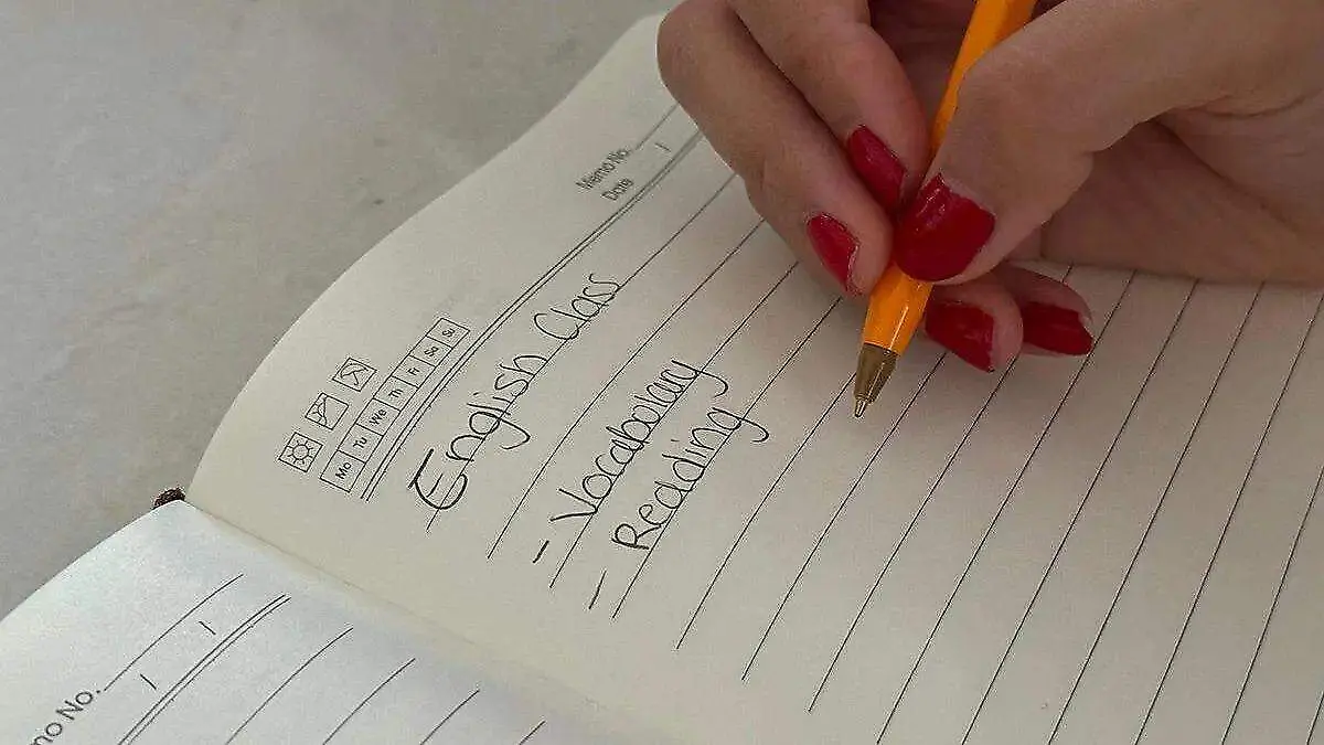 image - 2026-01-13T181300.304