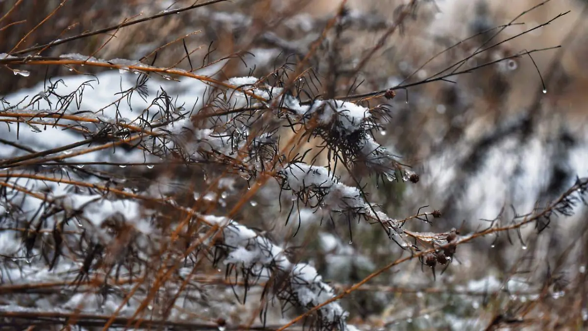 WhatsApp Image 2026-01-12 at 20.08.13